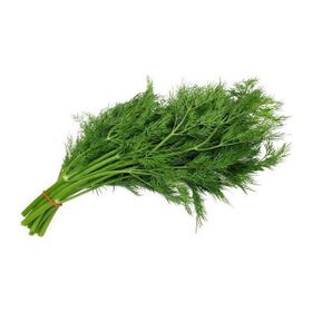 Plantistanbul 10 gr Dereotu Toros Meltemi Tohumu