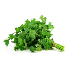 Plantistanbul 10 gr Toros Maydanoz Tohumu