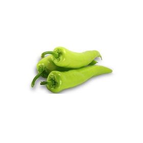 Plantistanbul 25 gr Biber Bağcı Çarliston Tohumu