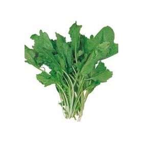 Plantistanbul 25 gr Tere Geniş Yaprak Tohumu