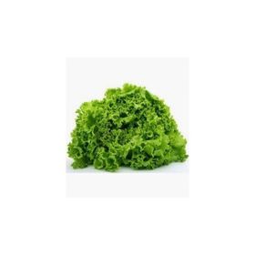 Plantistanbul 25 gr Yazlık Arapsaçı Kıvırcık Tohumu