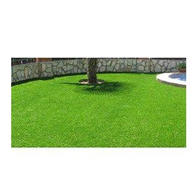 Plantistanbul 4 1 Kg Karışım Park Çim Tohumu