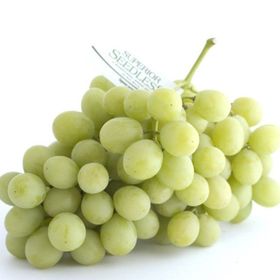 Plantistanbul Tüplü Superior Seedless Üzüm Fidanı