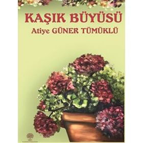 Platanus Publishing Kaşık Büyüsü