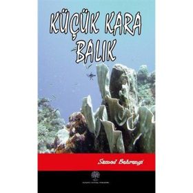 Platanus Publishing Küçük Kara Balık