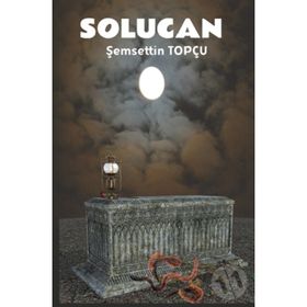 Platanus Publishing Solucan - Bir Annenin Ölümü