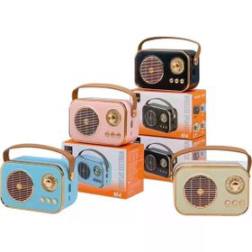 Platoon PL-4641 SD USB Girişli Bluetooth Speaker