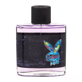 Playboy New York Refill EDT 100 ml Erkek Parfüm