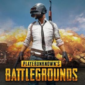 Playerunknown's Battlegrounds PUBG PC