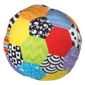 Playgro 38495 Mini Renkli Top