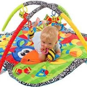 Playgro 9356 Neşeli Zebra Oyun Halısı