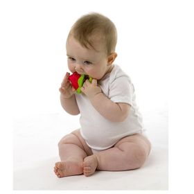 Playgro Karpuz Sulu Dişlik