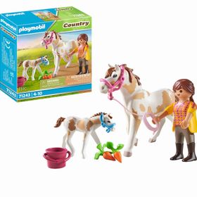 Playmobil 71243 Country Tay ile At