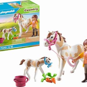Playmobil 71243 Country Tay ile At