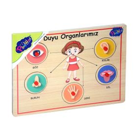 Playwood ONY-166/167 Ahşap Tutmalı Duyu Organlar