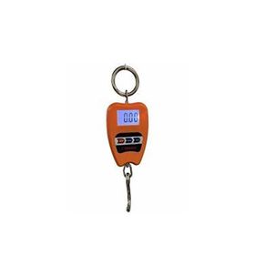 Plt Power 8088 200 kg Vinç Kantar