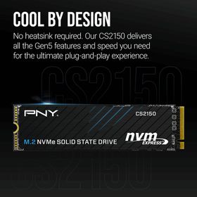 Pny M280CS2150-2TB CS2150 2 TB M.2 NVMe 10200/8500 MB Gen5x4 SSD