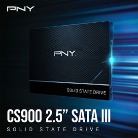 Pny SSD7CS900-250 gb SSD Harddisk