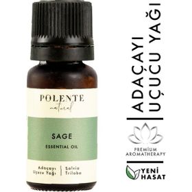 Polente Natural 10 ml Adaçayı Uçucu Yağı