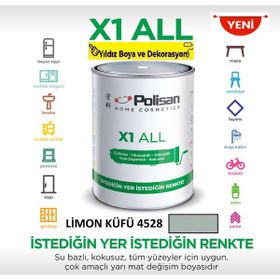 Polisan 0,75 lt Limon Küfü X1 All Tüm Zeminler İçin Yıkanabilen Silinebilen Kokusuz Boya