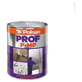 Polisan 1 kg Prof Beyaz Nem Boyası