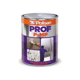 Polisan 1 kg Prof Beyaz Nem Boyası