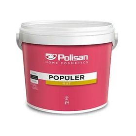 Polisan 3 kg Beyaz Rapid Boya