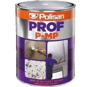Polisan 5 kg Prof Beyaz Nem Boyası