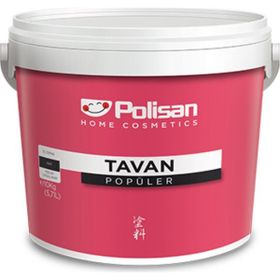 Polisan Beyaz 17,5 kg Popüler Tavan Boyası