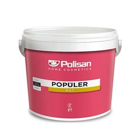 Polisan CI6262 Popüler 20 kg Kum Beji Plastik Mat Duvar Boyası