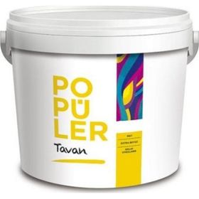 Polisan Popüler Mat Beyaz 17.5 Kg Tavan Boyası