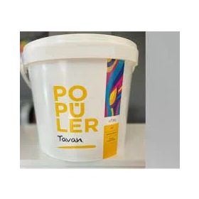 Polisan Popüler Mat Beyaz 17.5 Kg Tavan Boyası