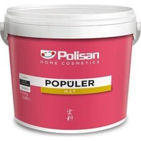 Polisan Popüler Plastik 20 kg Karizmatik Gri İç Cephe Boya