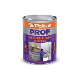 Polisan Prof 1 kg Beyaz Kokusuz Nem Boyası