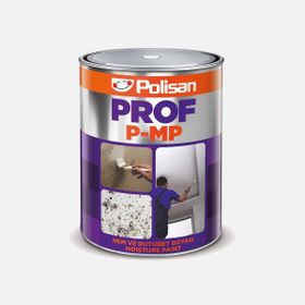 Polisan Prof P-MP 5 kg Nem Boyası