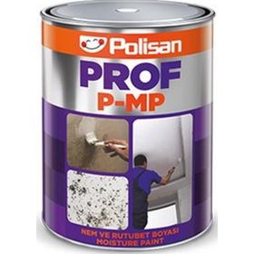 Polisan Prof P mp Nem Ve Rutubet 1 kg Boya