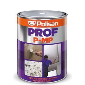 Polisan Prof P Mp Nem Ve Rutubet 5 kg Boya