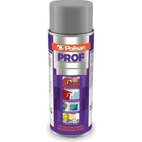 Polisan Prof S-WW 500 ML Su Yalıtım Spreyi