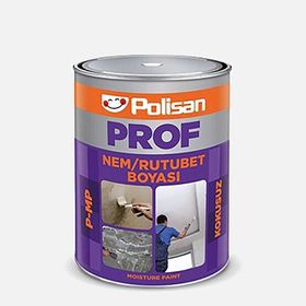 Polisan Profesyonel 2.5 kg Kokusuz Nem ve Rutubet Boyası