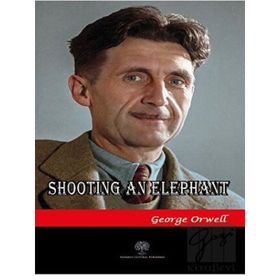 Politics And The English Language-Platanus Publishing