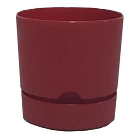 Poliwork Begonya 15 cm Bordo Saksı
