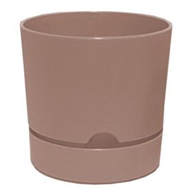 Poliwork Begonya 15 cm Krem Saksı
