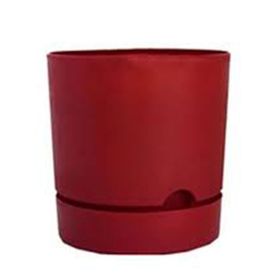 Poliwork Begonya 150x145 mm Bordo Saksı