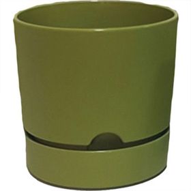 Poliwork Begonya 150x145 mm Yeşil Saksı