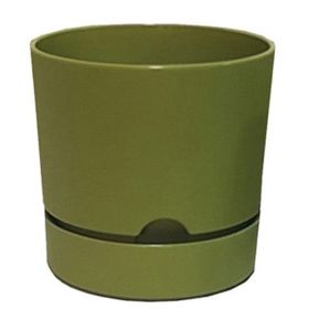 Poliwork Begonya 9 cm Yosun Yeşili Saksı
