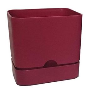 Poliwork Begonya Kare 13 cm Bordo Saksı