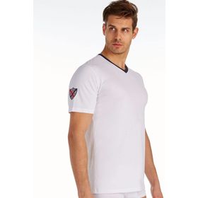Polo 80151 Gri V Yaka Erkek T-shirt