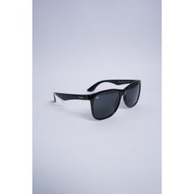 Polo Black PB 109 C2 Füme Erkek Güneş Gözlüğü