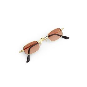 Polo55 PL23EG555 Gold Metal Çerçeve Minimal Retro Tasarım Erkek Güneş Gözlüğü
