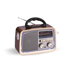 PoloSmart FS49 El Fenerli Sunny Wood FM Radyo